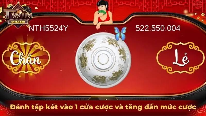 Đánh tập kết vào 1 cửa cược và tăng dần mức cược